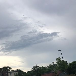 Meet your Posher, Devonte